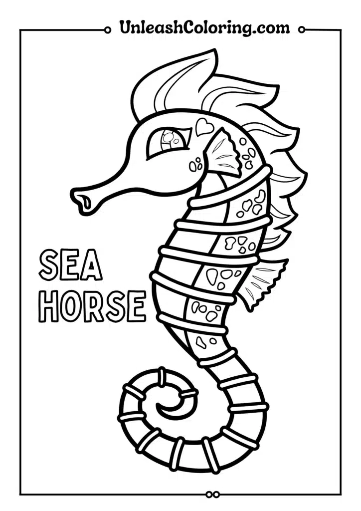 Cute Sea Horse