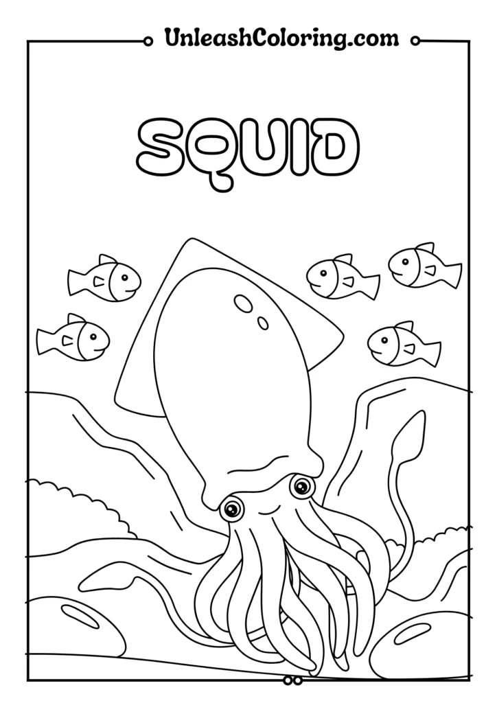 Squid
