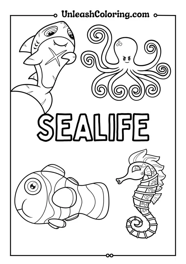Sea Life