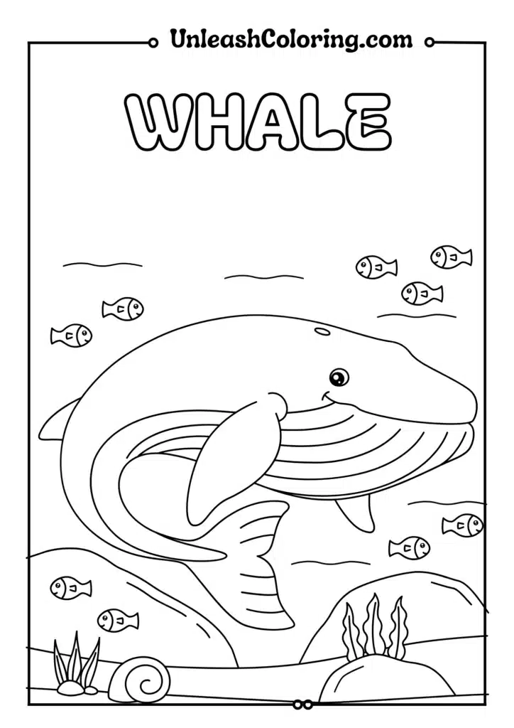 Whale