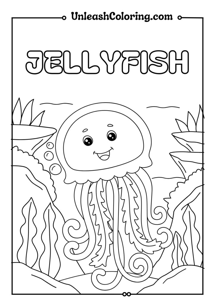Jelly Fish