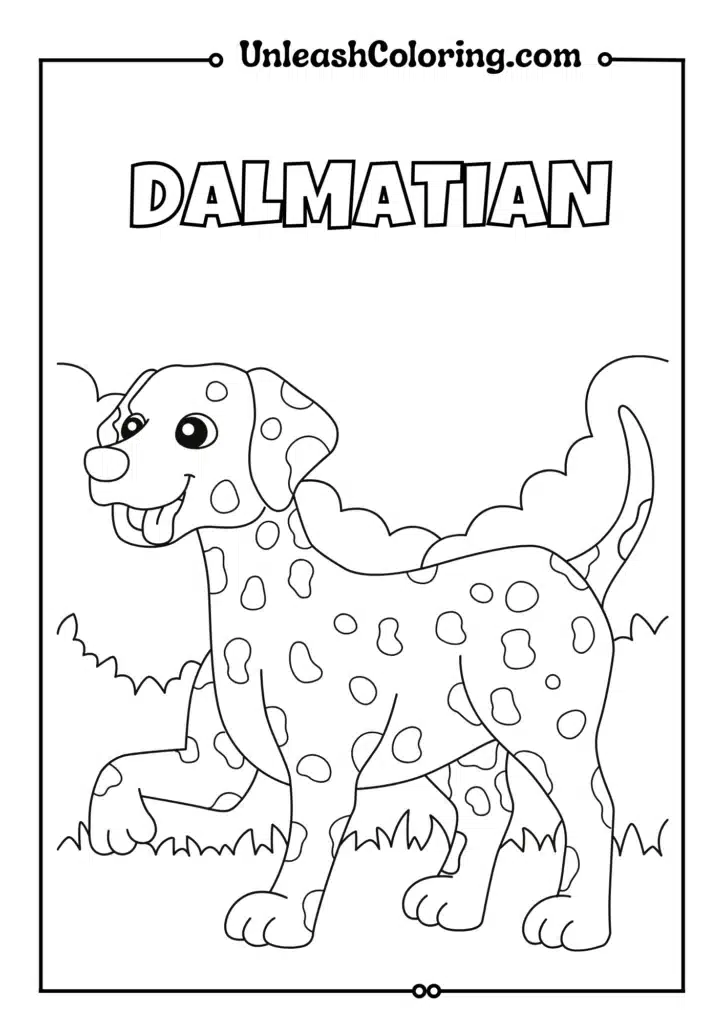 DALMATIAN